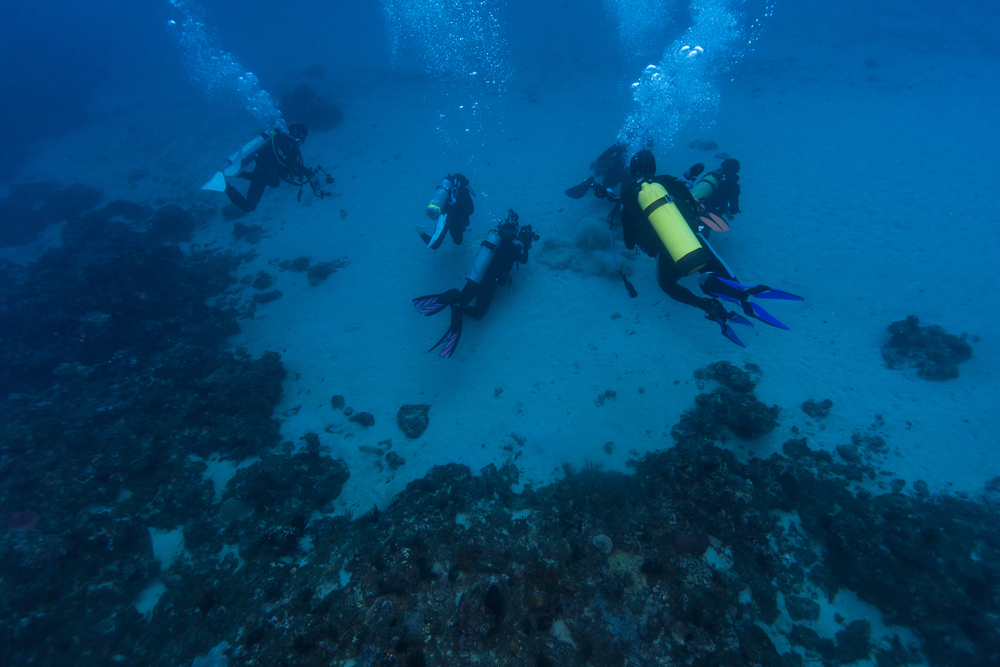 scuba diving tips