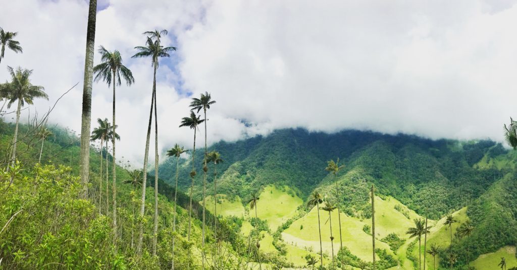 valle de cocora 2