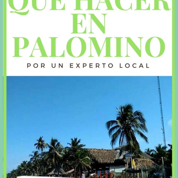 5 cosas que hacer en Palomino