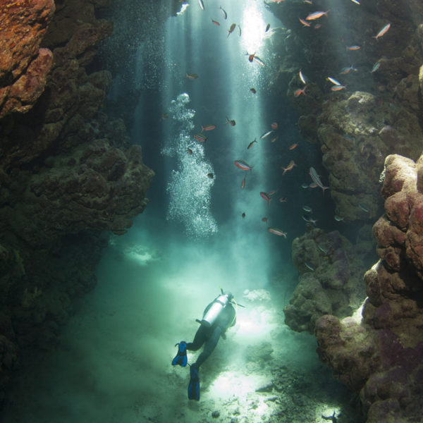 Dive in Mexico