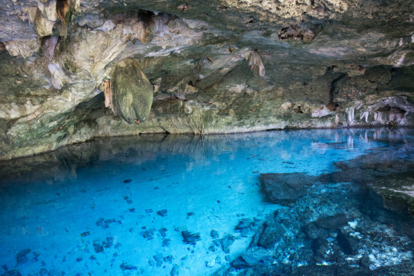 Diving In Mexico