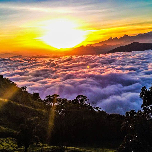 Nymejan Sierra Nevada